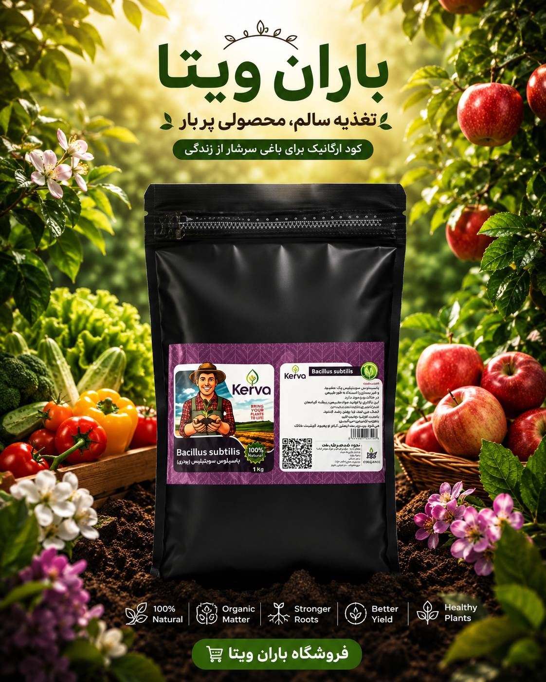 کود زیستی باسیلوس سوبتیلیس کروا ۱ کیلویی